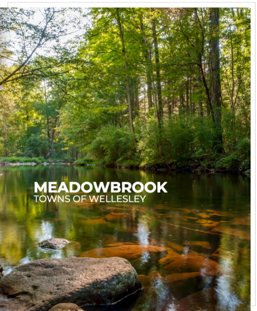MEADOWBROOK BROCHURE
